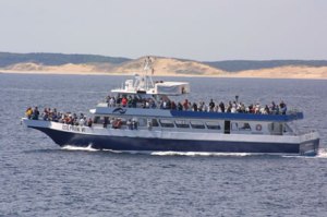 dolphin fleet off cape