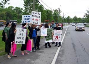 Marineland protesters one