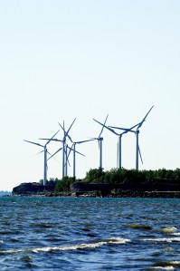 wind-farm-on-coast2