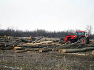 speedway-site-for NaL(4)