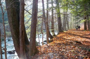 lower twenty mile creek dan wilson