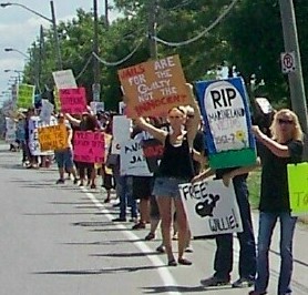 2012 file photo of Marineland demonstration by Doug Draper