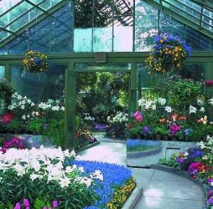 A slice of the spring warmth in the Niagara Parks Floral Showhouse. File photo courtesy of NPC