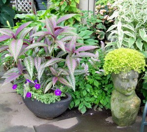 Photo from Garden Walk Buffalo 2012. By Doug Draper