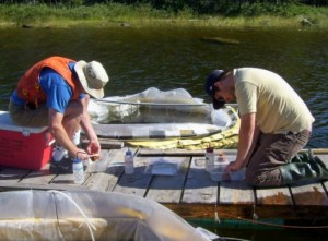 Science interns monitoring conditions at the Experimental Lakes Area in Northern Ontario.