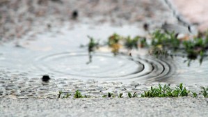 Enough of the cold, icy stuff. 