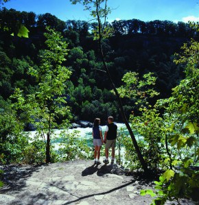 Overlooking the rapids of the lower Niagara River in the Niagara Glen. File photo courtesy of Niagara Parks Commission.