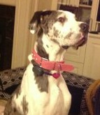 Hey Molly. All the best to you in your new home.