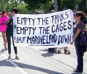 Animal activists demonstrating in front of Marineland in Niagara Falls, Ontario. File photo, Doug Draper