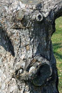 A photo by Dan Wilson