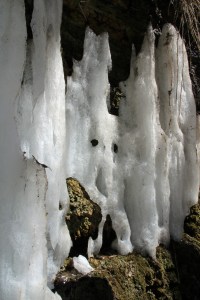 A photo by Dan Wilson