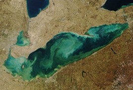 Check out the green algae blobs in Lake Erie from this recent satellite image. This is the swill we eventually have to drink following costly treatment at regional and municpal water treatment plants. Whe are our federal, provincial, state and municipal governments going to say 'no' to swamping Lake Erie with life-smothering phosphorus and other crud for the second time in 50 years?