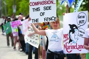 Advocates for animals line the main street in front of Marineland's sprawling amusement park in Niagara Falls, Ontario.