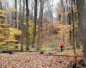 The St. John's Conservation Area in the Niagara community of Thorold, Ontario, one of the conservation areas the Niagara Peninsula Conservatino Authority may 'dispose' of under its soon-to-be-approved 'Strategic Plan' for the future. Photo by Mike Dickman
