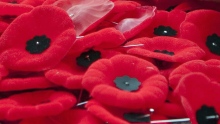 veterans poppies