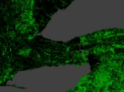 The green areas in this image show the forest cover in Niagara and surrounding areas, including Western New York and a tip of Pennsylvania. Click on this image to blow it up to full screen.