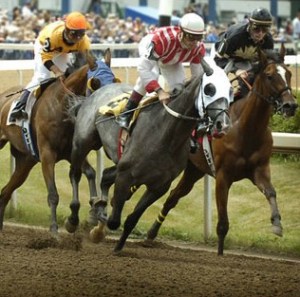 fort-erie-horse-race1[1]