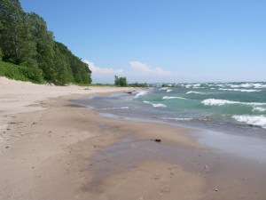 A stretch of beautiful Lake Erie shoreline in the Point Abino area. Photo couresy of the Bert Miller Nature Club