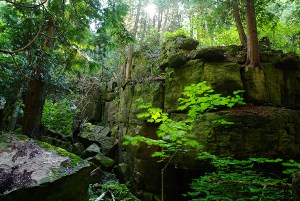 Some of the green space within our Niagara/Hamilton/Greater Toronto Area protectecd green zone. Photo courtiesy of Ontario Friends of Greenbelt Foundation.