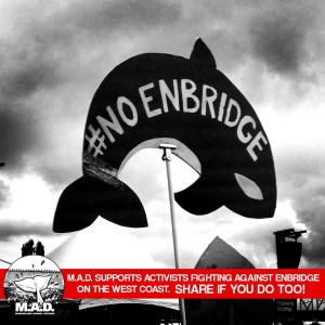 Click on this image to blow it up full screen