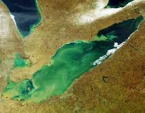 A Satellite photo from about 10 years ago on already growing algae swamp (in green) in Lake Erie.