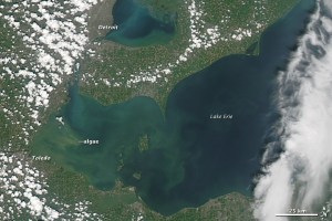 A recent satellite photo of the green toxic blob in the western end of Lake Erie off Detriot and Toledo
