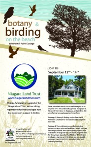 Click on this image to enlarge it on your screen