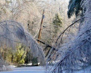 One of the so-called 'severe weather' storms that caused mulit-hundreds of millions of dollars of damage in southern Ontario over the past few years. But, psst, psst. Don't go gettling Harper and company that we may be dealing with climate change.