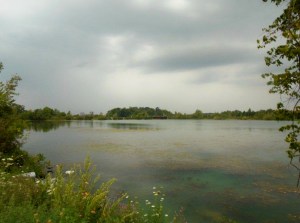 A view of the corridor along the shores of Lake Gibson