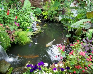 A gold fish pond in one of the great backyard edens featured at Garden Walk Buffalo. File photo by Doug Draper
