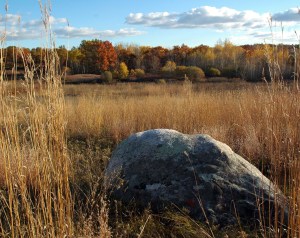 Another natural landscape photo courtesy of Ontario Nature