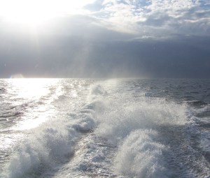 The wake from a ferry boat on Cape Cod Bay, File photo by Doug Draper