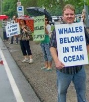 Protesters have rallied for years in front of Marineland park in Niagara Falls, Ontario. File photo by Doug Draper