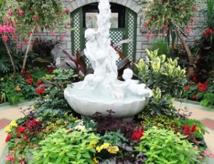 Escape winter's cold and enjoy a bit of spring at Niagara Park's Floral Showhouse