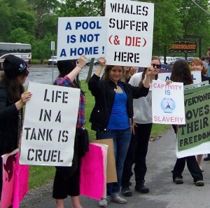 One of many rallies over the years in front of Marineland in Niagara Falls, Ontario. File photo by Doug Draper