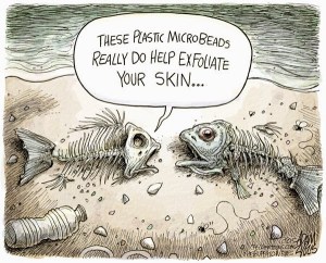 MicroBeads_Fish_Exfoliation_cartoon_04_21_15zyglis
