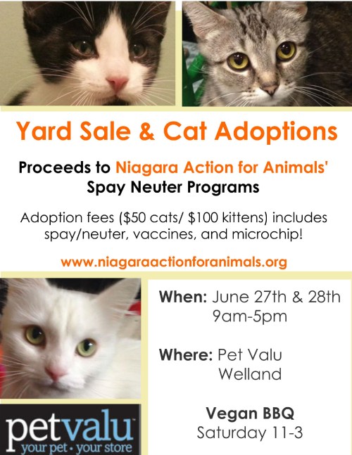 pet valu yard sale flyer-page-0 (2)