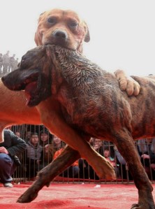 A message to Justin Trudeau and Tom Muclair. How about spending less time tearing each other apart and more time talking about your vision for Canada's future.