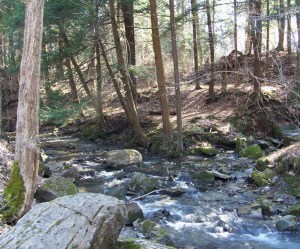 One of the many cold water streams running down from the Fonthill Kame and making up the headwaters of the Twelve Mile Creek flowing into Lake Ontario. 