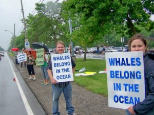 Protesting in front of Marineland  park in Niagara Falls, Ontario. File photo by Doug Draper