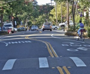 A generic image of a 'chicane' or what some commonly refer to as a speed bump on a residential road.