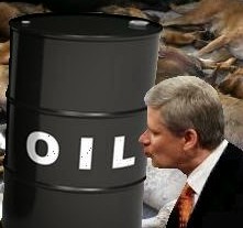 For Stephen Harper, it has been almost all about the tar sands as his government has muzzled Environment Canada scientists and gutted the country's environmental protection rules.