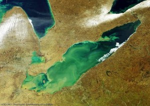 A look of the growing bloom of harmful algae in Lake Erie from space