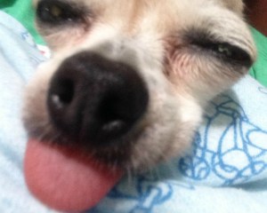 Sorry Pinky. Did I mention Harper's name again?