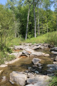A view of Eighteenmile Creek in a forested area now secured for the public in Erie County, New York. The creek is part of the watershed feeding the Niagara River. Photo courtesy of The Nature Conservancy.