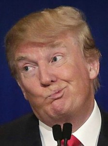 The Donald -It is going to be "a beautiful, big wall."