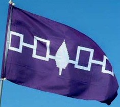 The Haudenosaunee flag - Indigenous hunters call for peace and respect