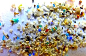 Plastic microbeads wash up along Lake Erie shores. These beads can literally choke the life out of fish populations in lake waters.
