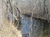 One of the remaining wooded wetland area in Niagara, Ontario. How long will it be spared from destruction for more sprawling development