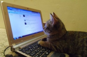 News on the Internet: Everyone will get in on the act! 